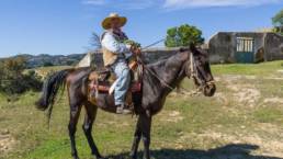 Mexican farmer on a horse